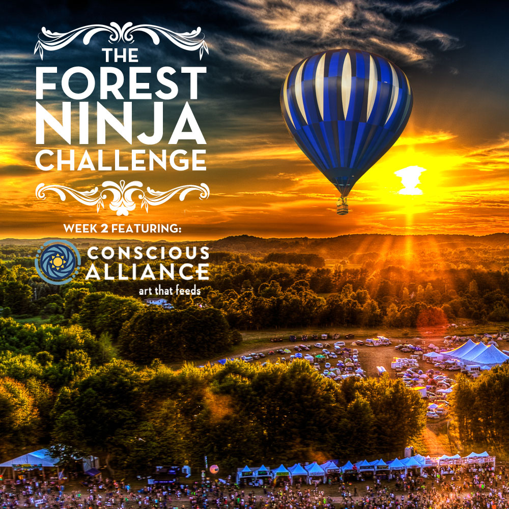 Win a Hot Air Balloon Ride with The Glitch Mob at Electric Forest!!