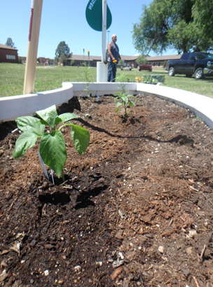 It's Garden Time!