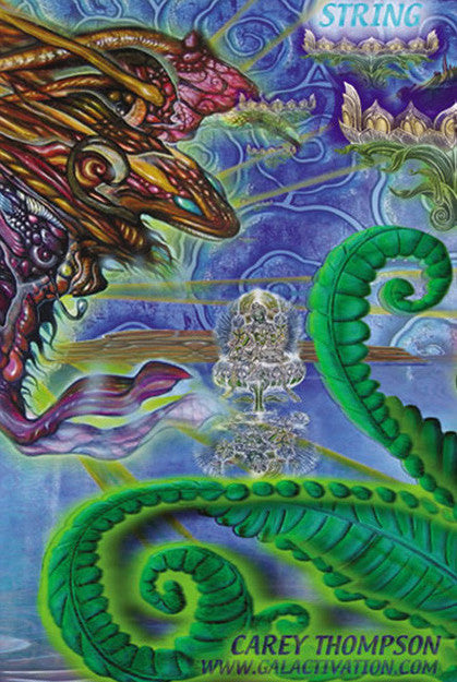 The String Cheese Incident - Summer Tour 2004 (3 Panel)