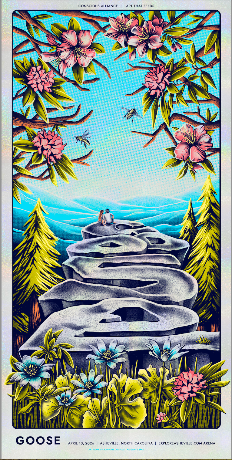 Goose - Asheville 2026