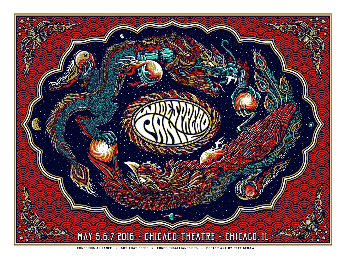 Widespread Panic Chicago - 2016