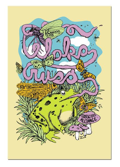 Wakarusa Music Festival - 2008