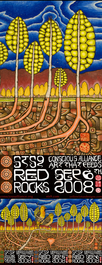 STS9 Colorado Run - 2008 (3 Panel)