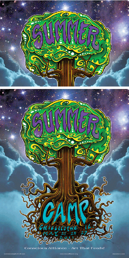 Summer Camp Music Festival - 2011 (2 Panel)