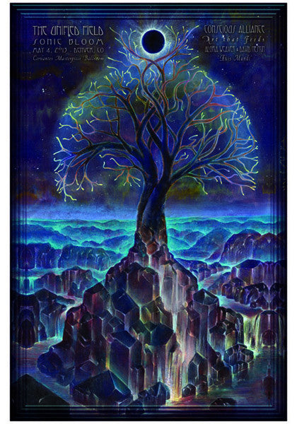 Unified Field Denver - 2013 (Night 2)