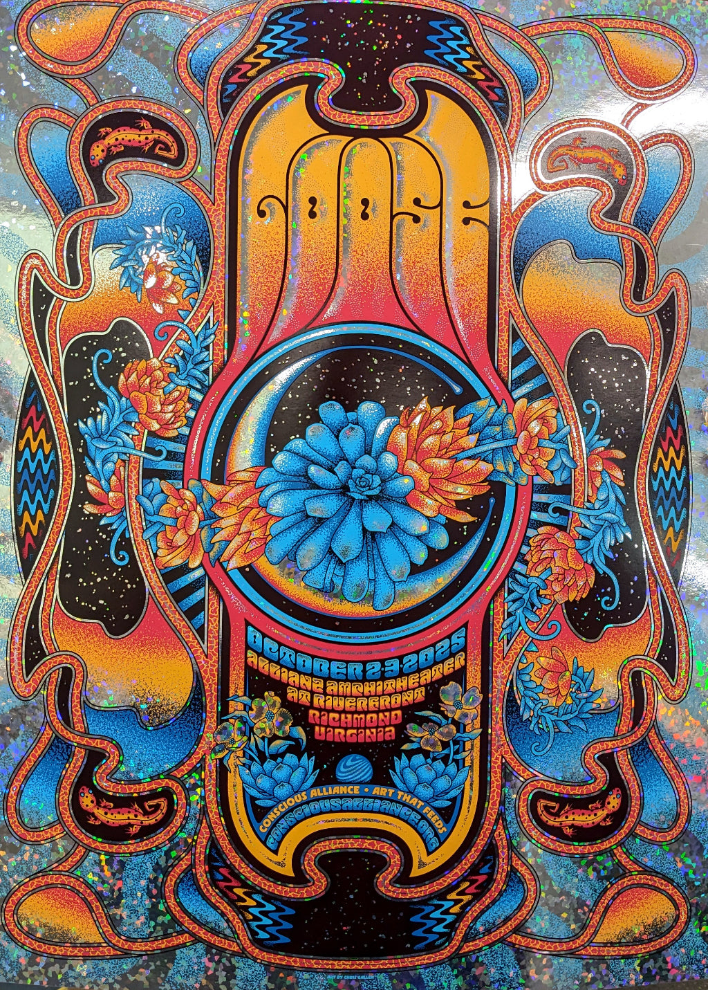 Goose- Richmond 2025