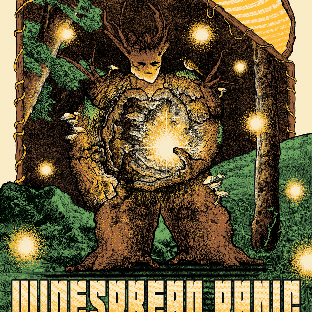 Widespread Panic - Indianapolis 2025 — Conscious Alliance