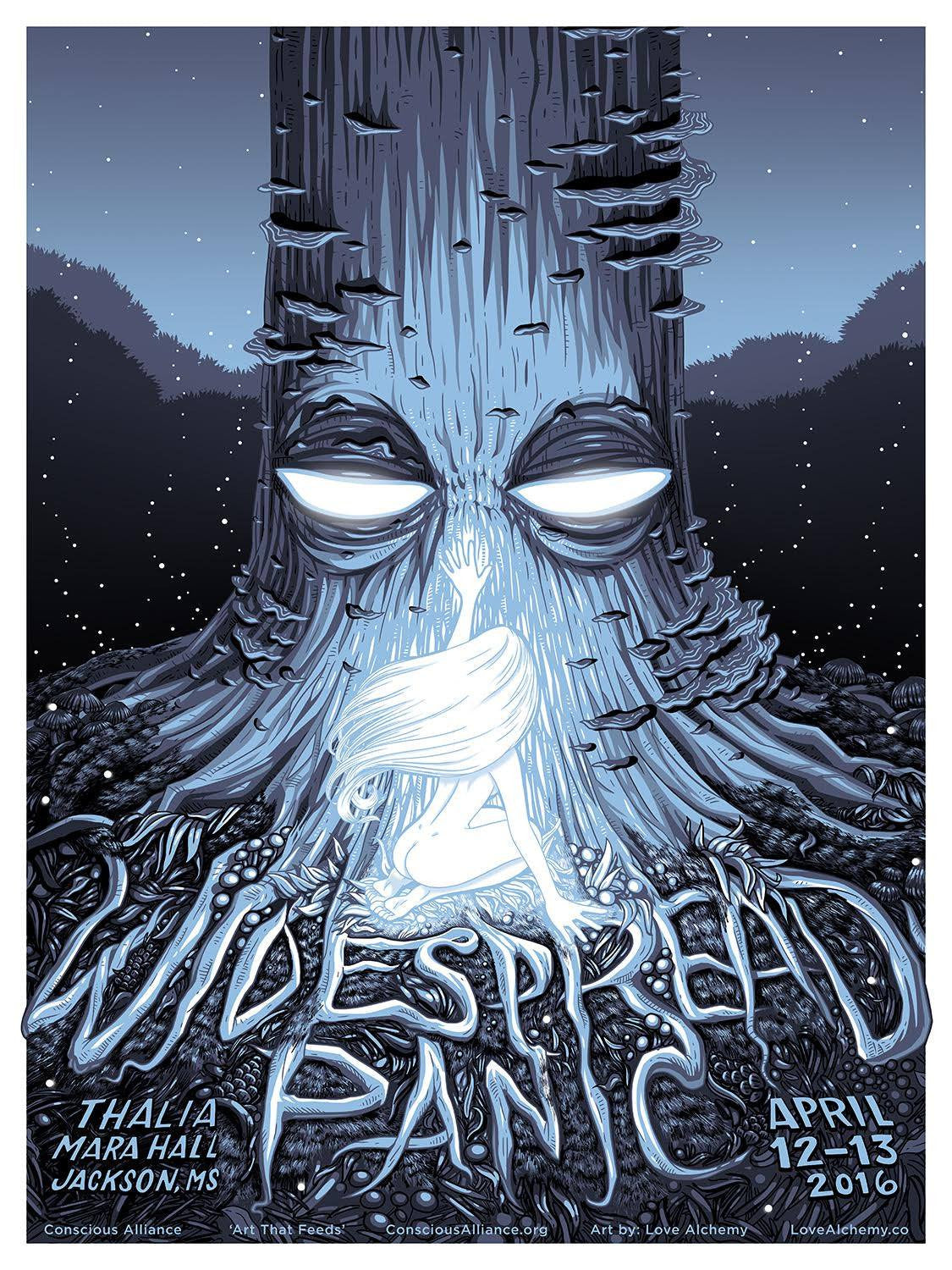 Widespread Panic Jackson - 2016