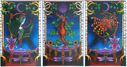 The String Cheese Incident - 2003 (3 Panel)