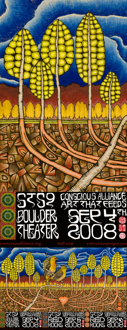 STS9 Colorado Run - 2008 (3 Panel)