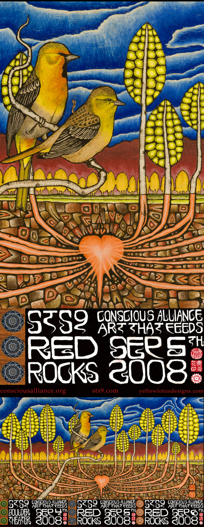 STS9 Colorado Run - 2008 (3 Panel)