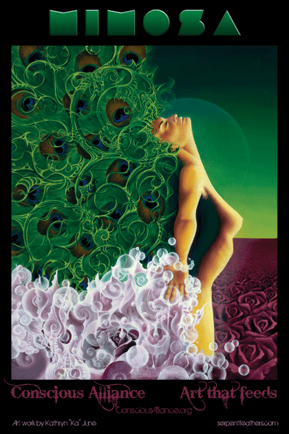 Mimosa - 2011