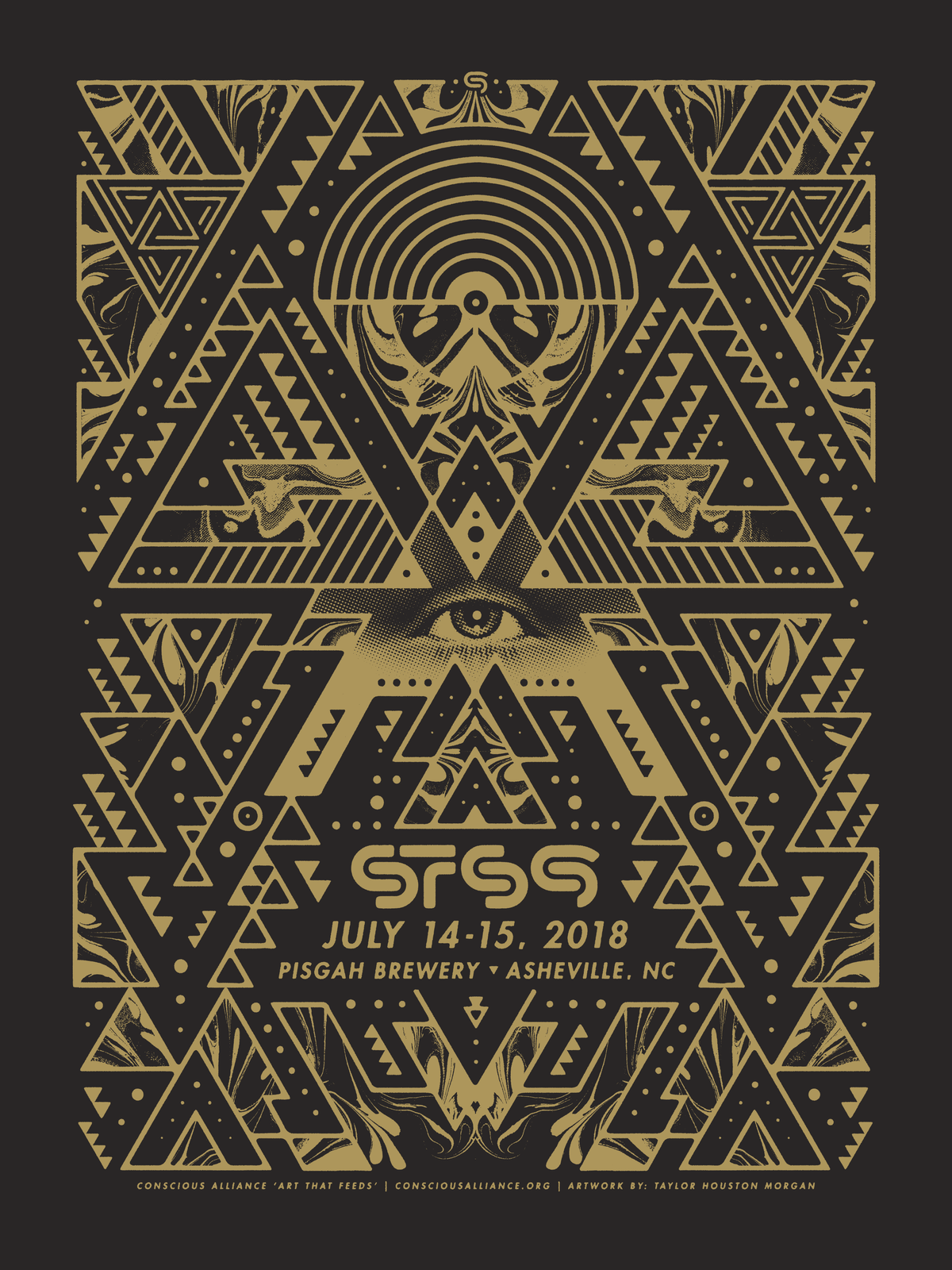 STS9 ASHEVILLE - 2018