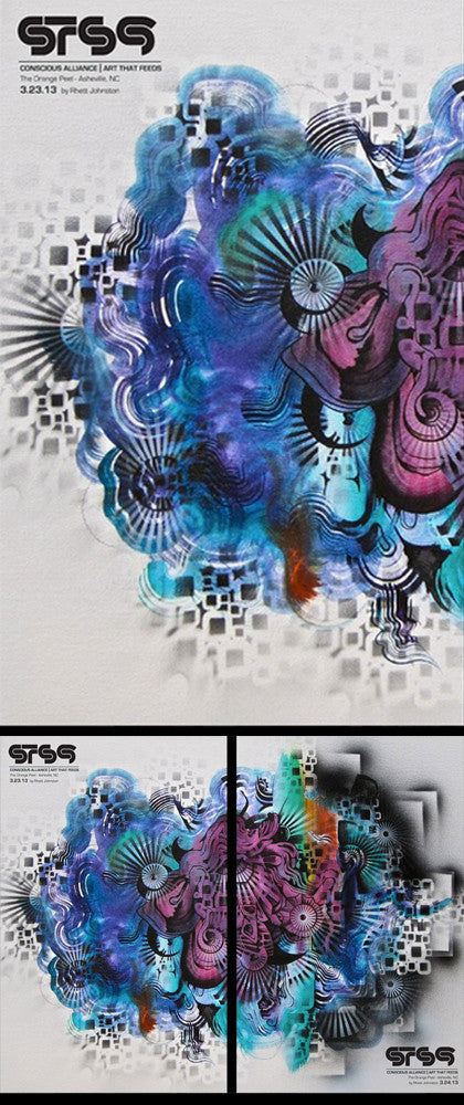 STS9 Asheville - 2013 (Panel 1)