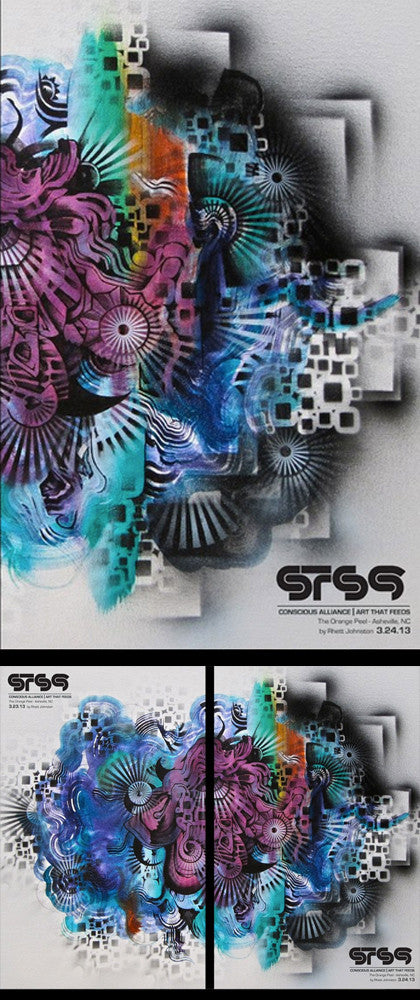 STS9 Asheville - 2013 (Panel 2)
