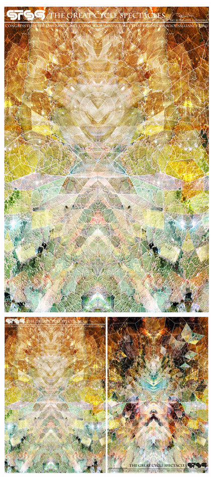 STS9 Chicago - 2012 (2 Panel)